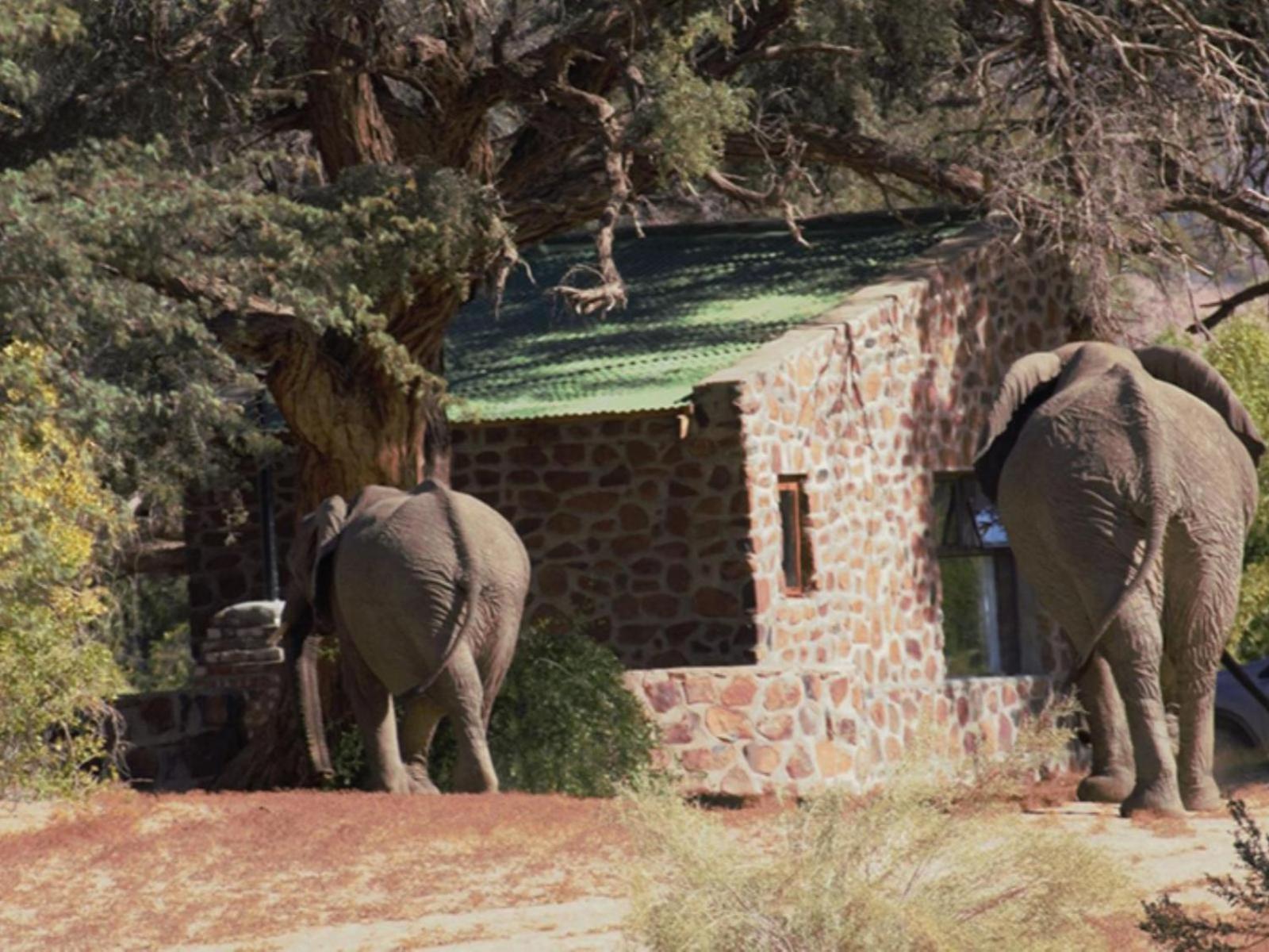 Brandberg White Lady Lodge Uis Exterior photo