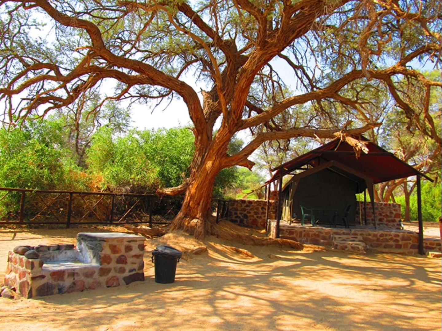 Brandberg White Lady Lodge Uis Exterior photo