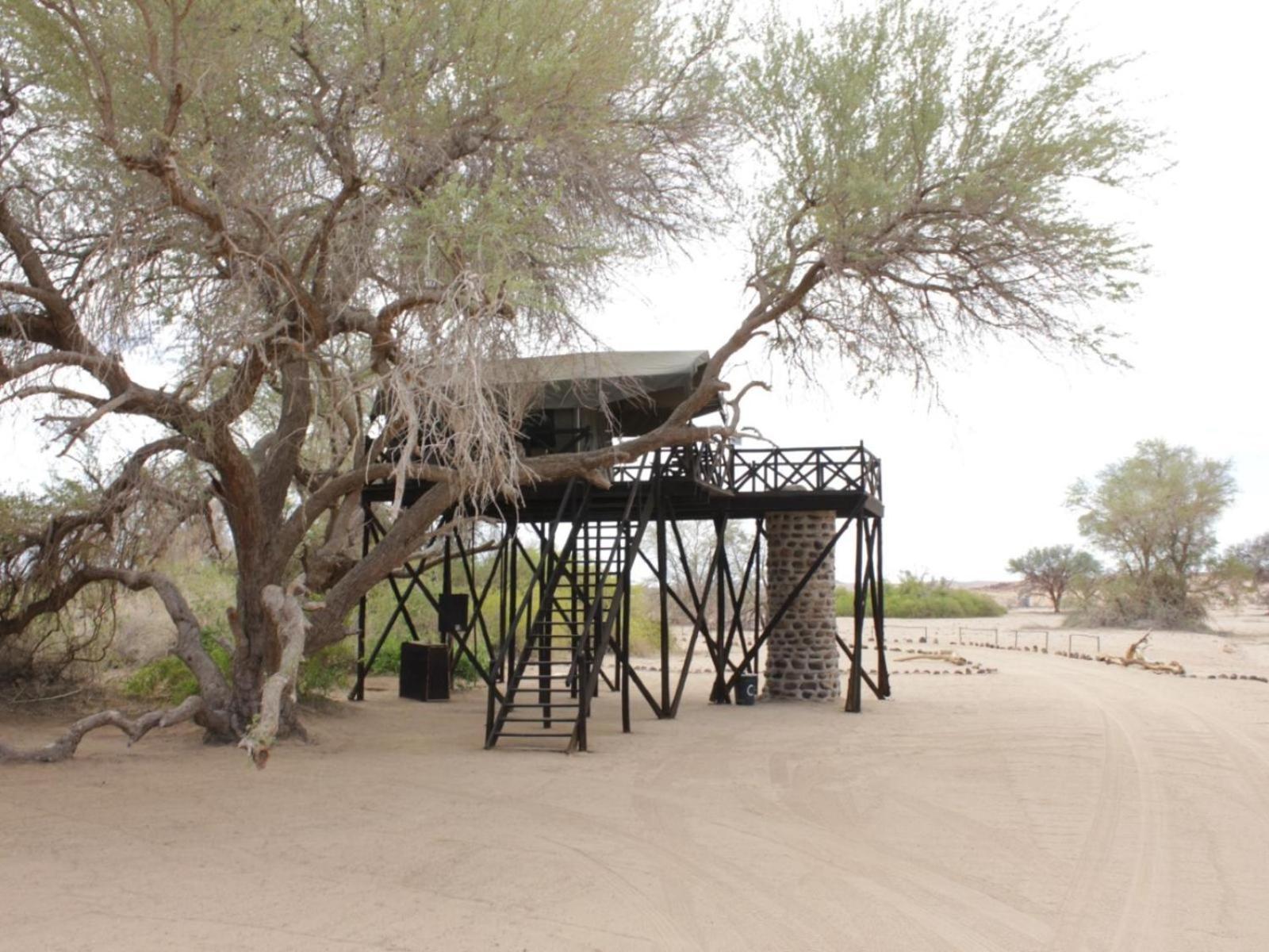 Brandberg White Lady Lodge Uis Exterior photo